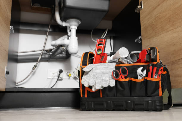 Best Plumbing Inspection Services  in Lton, IN