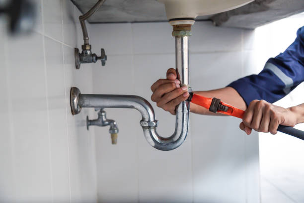 Best Local Plumber Services  in Lton, IN