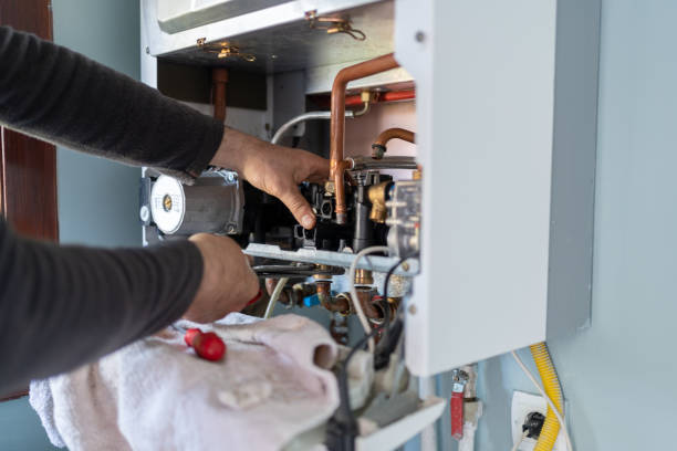 Best Clogged Drain Plumber  in Lton, IN